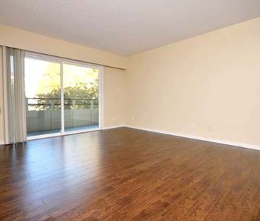 Westminster Court - 1 Bedroom - Photo 5