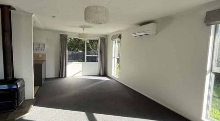 Sunny Family Home in Renwick - Photo 3