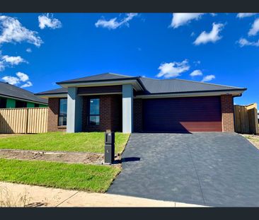 40 Wattawan Crescent, Anambah, NSW 2320 - Photo 2