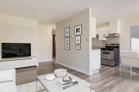 1 Bedroom - Photo 4