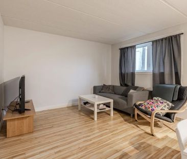 Appartement 3 ½ à louer Limoilou juillet 2026 - Photo 3