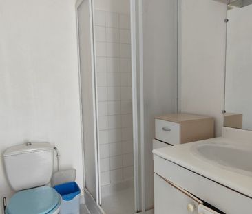 Location Appartement 1 pièce 19m² - Photo 3