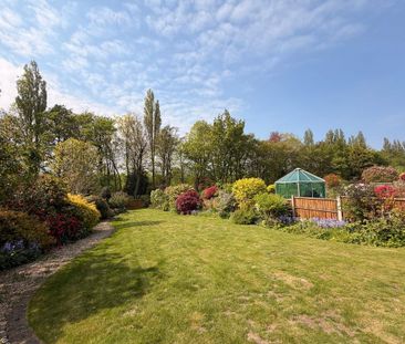 3 bedroom semi-detached house to rent - Photo 4