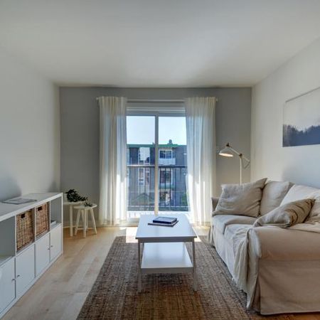 Appartement 4 ½ à louer Beauport mars 2026 - Photo 4