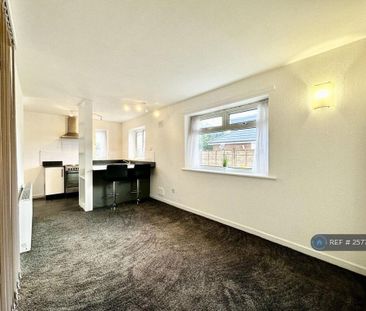 Studio to rent - Photo 4