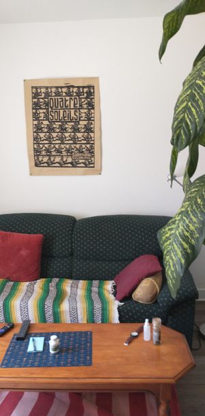 Cherche Colocataire - Photo 1