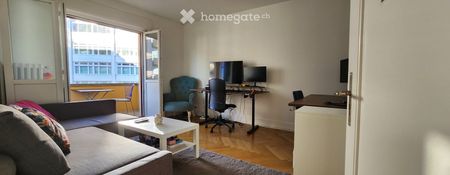 Sonnige Wohnung in Wiedikon Kurzzeitmiete für nur 3 Wochen - Photo 2