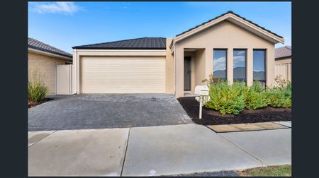 52 Delta Road, Baldivis WA 6171 - House For Rent | Domain - Photo 4