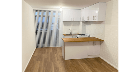 RENOVATED 1 X 1 APARTMENT - Photo 4