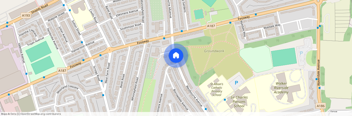 Westbourne Avenue, Walkergate, Newcastle Upon Tyne, Tyne & Wear, NE6 4HR