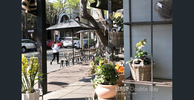 103 Ocean Street, Woollahra, NSW 2025 - Photo 1