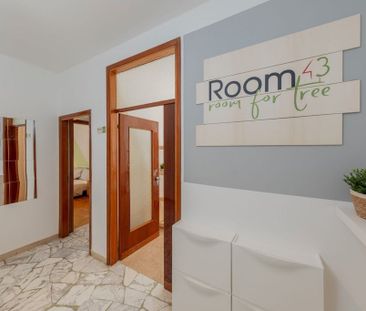 Via Cesare Cremonino, Padova, Veneto 35124 - Photo 5