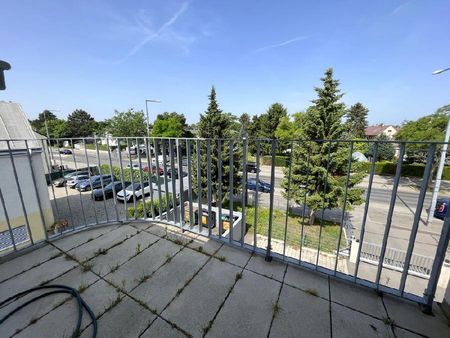 AB SOFORT VERFÜGBAR - TOLLE 2 ZIMMER WOHNUNG MIT TERRASSE AM BIBERHAUFENWEG! - Foto 3