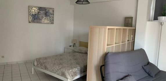 Appartement à louer, 1 pièce - Angers 49000 - Photo 2