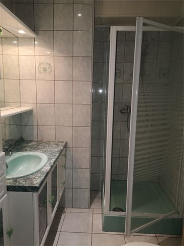 Location Appartement 43.56 M² MUESPACH-LE-HAUT 595 € - Photo 3