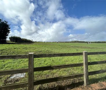 Pinksmoor, Wellington, Somerset, TA21 - Photo 1