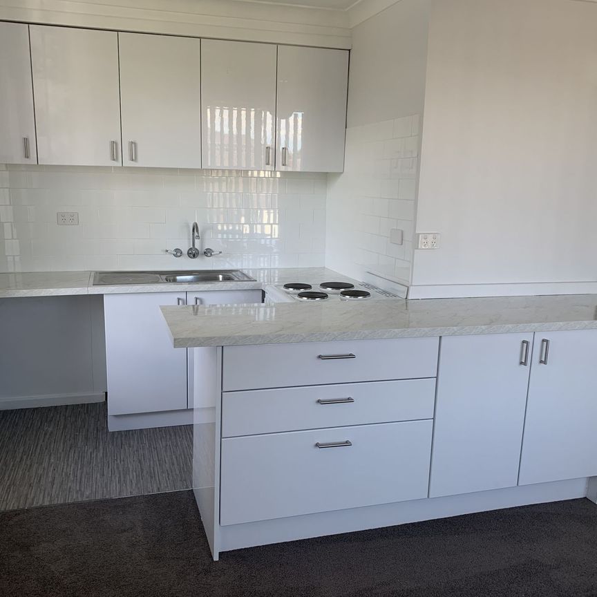 Fully Renovated One Bedroom Unit With Parking - Photo 1