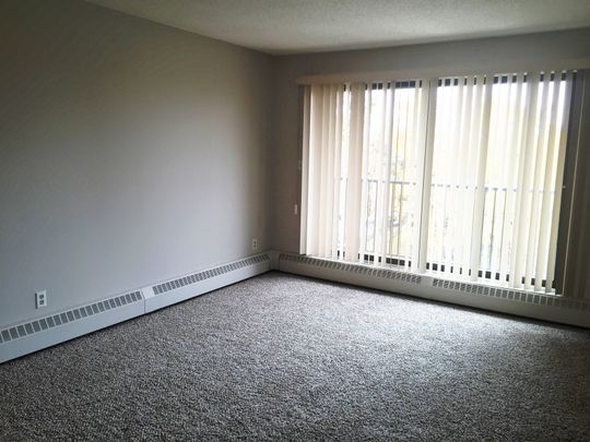 NO STAIRS!! Spacious Well Maintained Building 2 Bed, 1 Bath - Photo 1