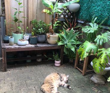 Erskineville - Photo 2