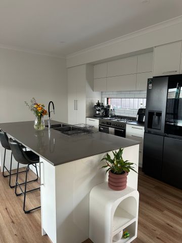 Hammond Park - Photo 4