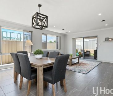 Golden Bay Delight - Fabulous Family Home - Photo 3