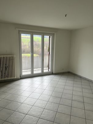 Tavannes, nice 2.5 room apartment renovated on the 1st floor with balconies - Photo 1