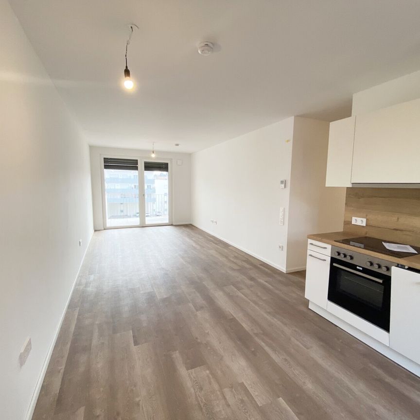 Ihr Wohnglück wartet im Tullnerfeld! - Photo 1