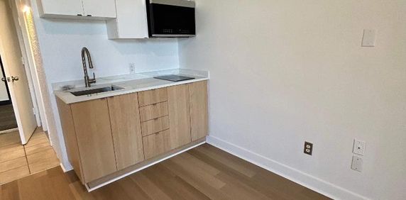 Studio - Saint-Charles-Borromée - $1,099 /mo - Photo 2