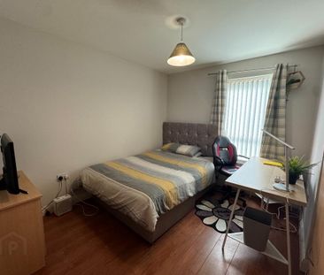 Unit 1, 219 Saintfield Road, Belfast, BT8 7HQ - Photo 4