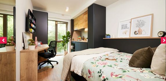 Studio Flat, De Montfort Way, CV4 - Photo 2