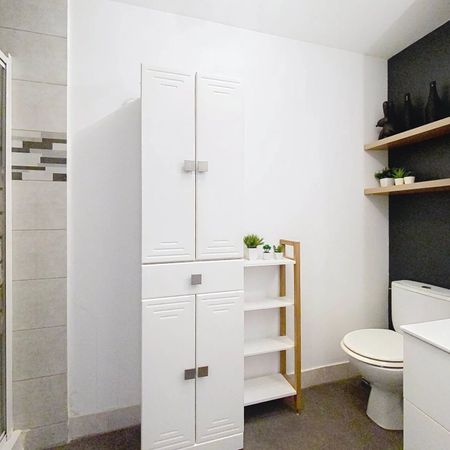 Location Appartement 1 pièce 19m² NICE 06100 - Photo 3