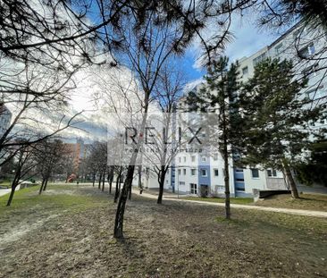 HANY MELIČKOVEJ: NA PRENÁJOM ZARIADENÝ 3 – i BYT s LODŽIOU - Photo 2