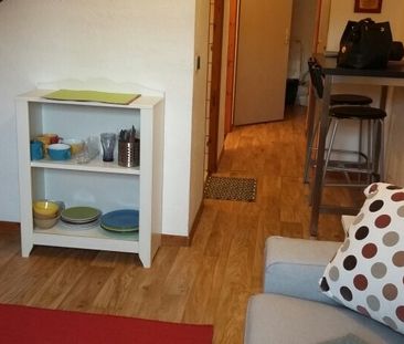 Location Appartement 2 pièces Meublé 27m² ANNECY 74000 - Photo 4