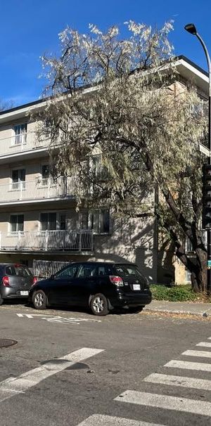 Charmant appartement à louer à Ahuntsic — 2055 Henri-Bourassa Est - Photo 1