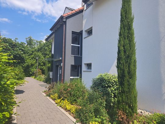 COLLÈGE 20, 3.5 room apartment in a residential area - Photo 1