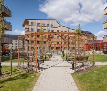 Vikaholmsallén, Växjö - Photo 4