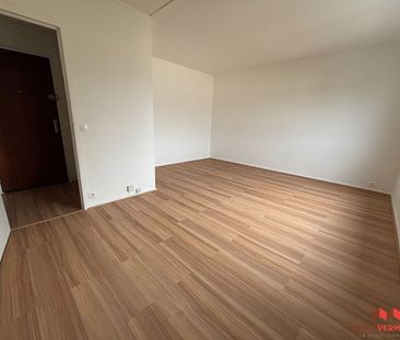 Location Appartement 1 pièce 34m² - Photo 3