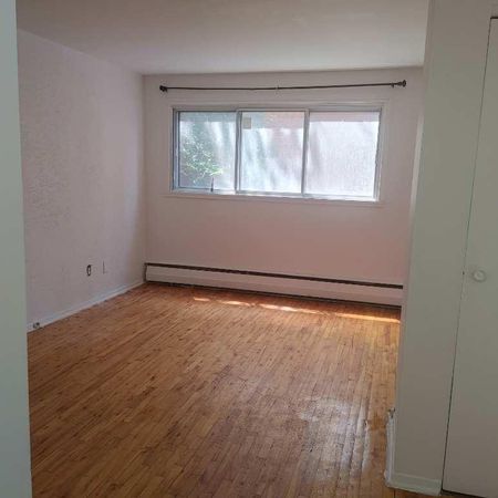 Appartement 2 ½ à louer - Photo 3