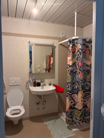 Sous-location appartement meublé Lausanne - Photo 4