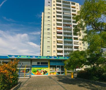 Demnächst frei! 1-Zimmer-Wohnung in Neustadt an der Weinstraße - Photo 4