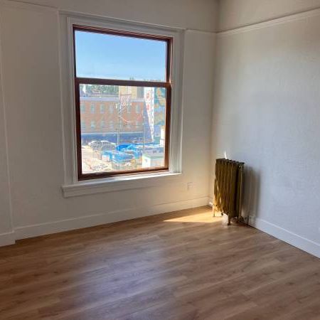 Newly Renovated 1 Bedroom in the Heart of Mt Pleasant! - Photo 3