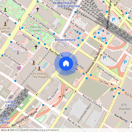 1114 Rue Saint-Antoine O, Ville-Marie, Ville-Marie, Ile de Montréal, H3C 1B4