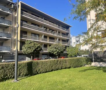 Location Appartement 2 pièces 42m² LE FAYET 74170 - Photo 2
