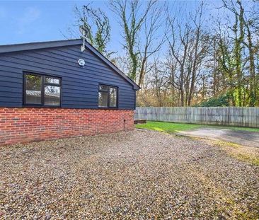 Beech Hill Road, Spencers Wood, Reading, Berkshire, RG7 - Photo 6