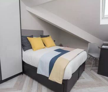 Large Studio Apartment - Photo 4