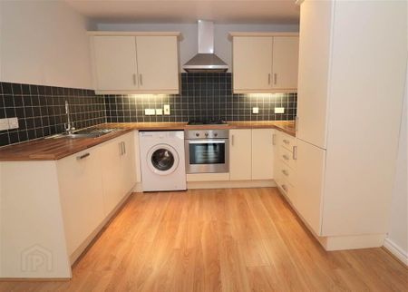 26 Sequoia Building, Redwood Grove, Dunmurry, Belfast, BT17 9FE - Photo 5