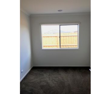 26 Cassava Street, Armstrong Creek VIC 3217 - House For Rent | Domain - Photo 6