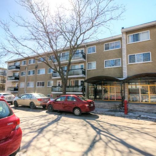 4 1/2 - Montréal (Verdun) - 1 395 $/mois - Photo 1