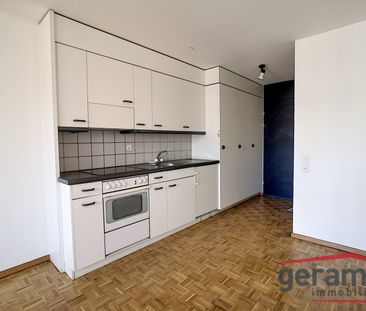 Appartement 1.5 pièce - Photo 4