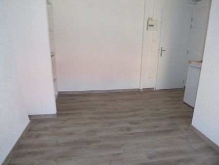 Location appartement 1 pièce 17.05 m² à Aubenas (07200) - Photo 3